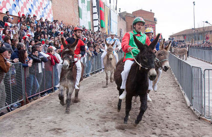 Palio dei Somari, Torrita di Siena