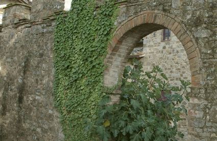 Poggio al Vento