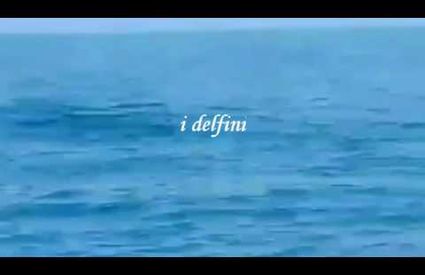 Delfini