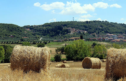 Rapolano Terme, view