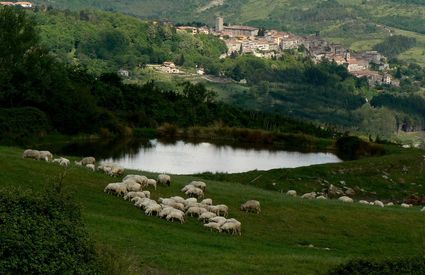 Santa Fiora, panorama campagne