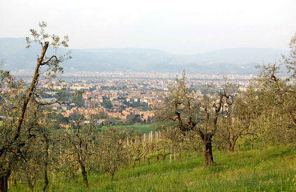 Scandicci, panoramic view
