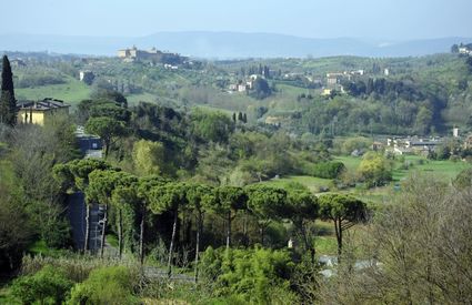 Siena campagna