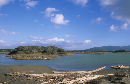 Spiaggia dei Capanni, Grosseto