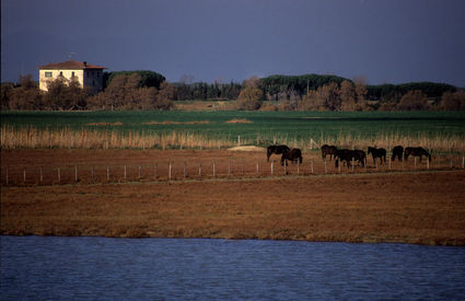 Spiaggia dei Capanni, Grosseto