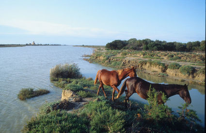 Spiaggia dei Capanni, Grosseto