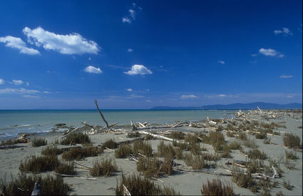 Spiaggia dei Capanni, Grosseto