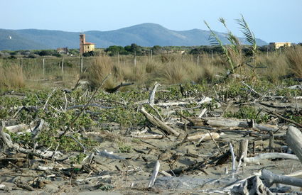 Spiaggia dei Capanni, Grosseto