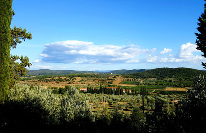 Suvereto countryside