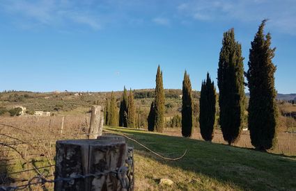 The Hill of San Fabiano, Arezzo