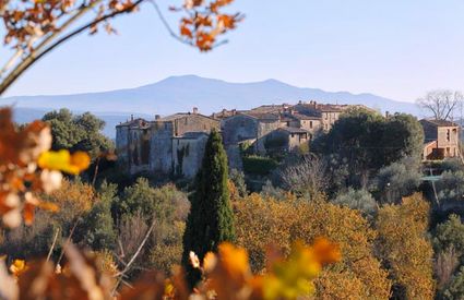 Town and woods