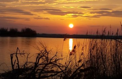 Tramonto sulla foce del Serchio