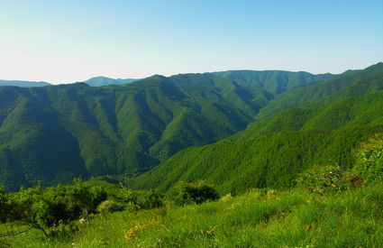 Treppio Valley