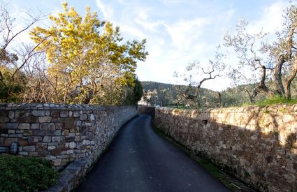 Via Bortolotti, Sesto Fiorentino