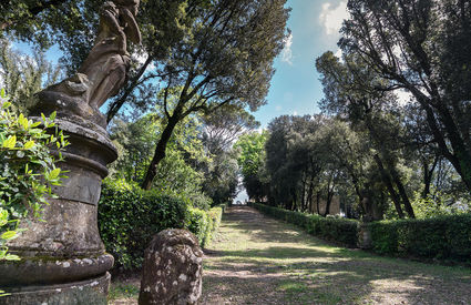 Villa Caruso Bellosguardo, viale