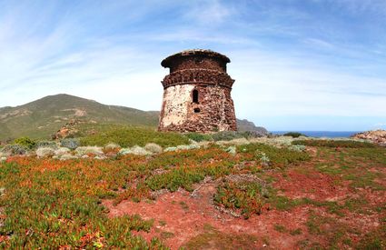 Zenobito Tower (1545), Isola di Capraia