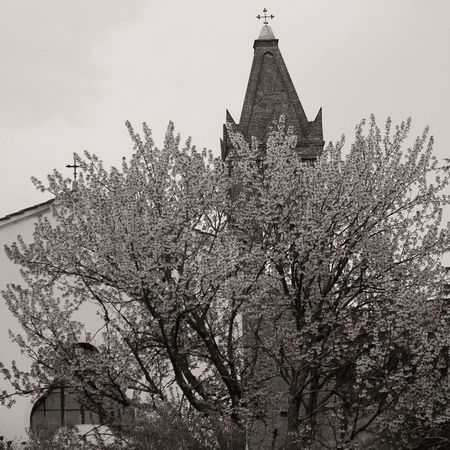 Calci, Sant&#039;Agostino di Nicosia