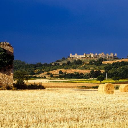 Monteriggioni dai campi