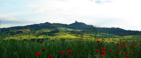 Val d'orcia