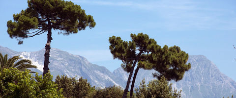 Forte dei Marmi