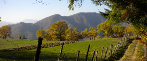 La strada di casa Palazzuolo sul Senio