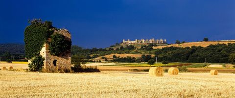 Monteriggioni dai campi