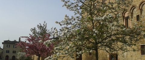Mura di Buonconvento