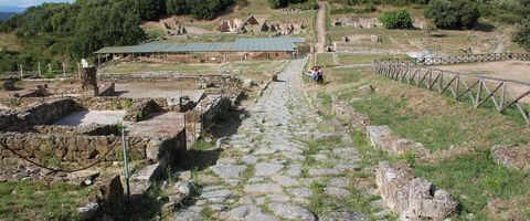 Roselle Archaeological Park