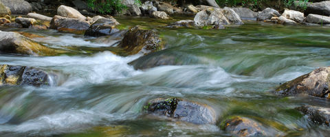 Torrente Farma