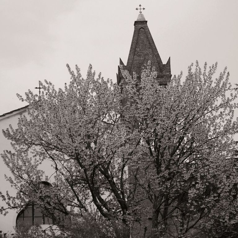 Calci, Sant'Agostino di Nicosia