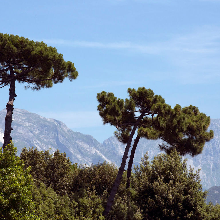 Forte dei Marmi