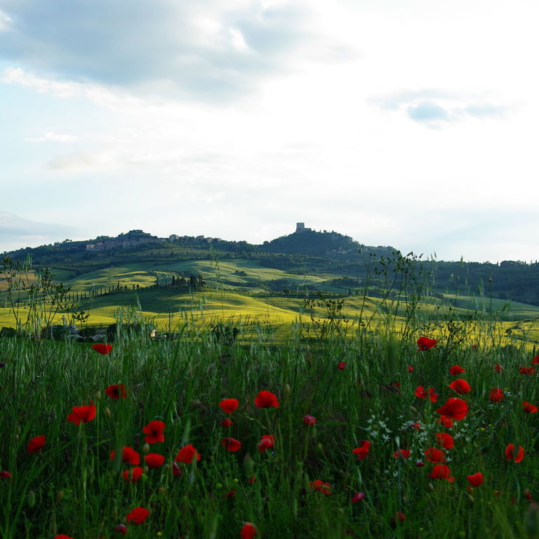 Val d'orcia