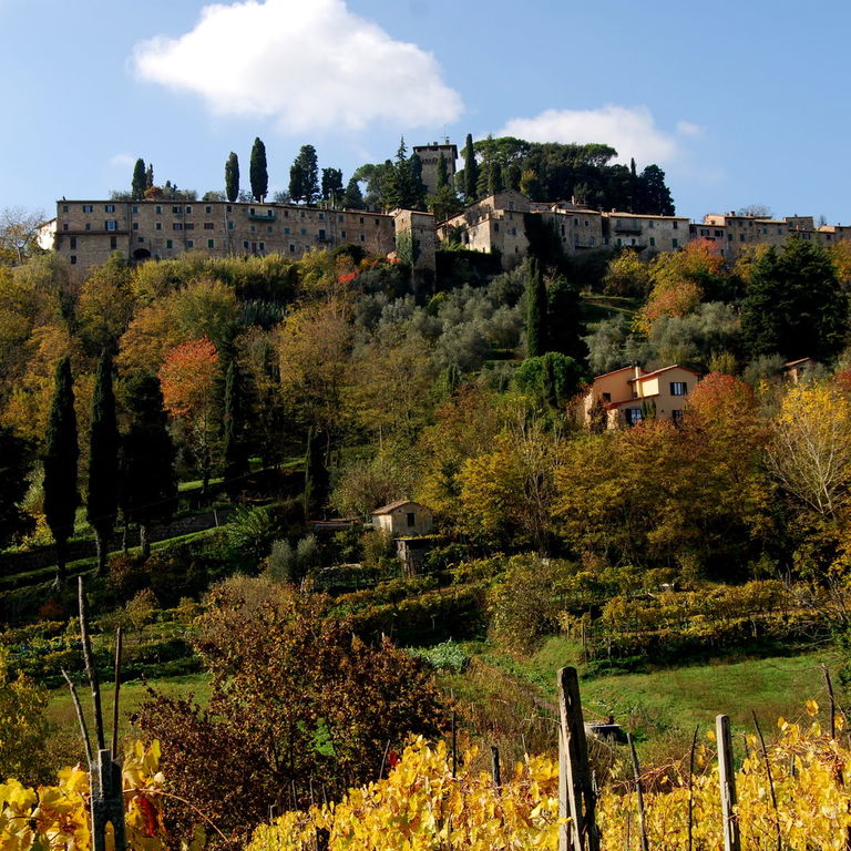 Borgo di Cetona, Toscana