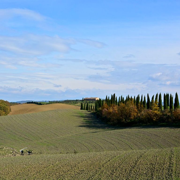 Castelnuovo Berardenga