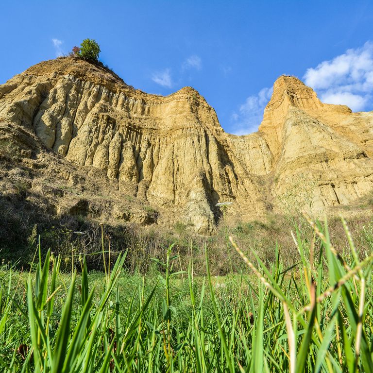 Terranuova Bracciolini