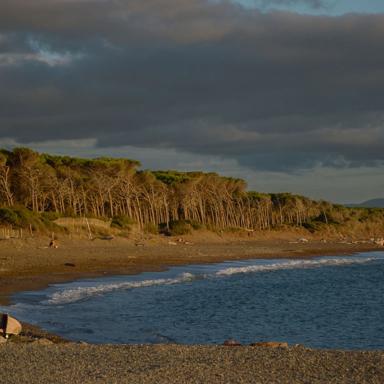 Cecina