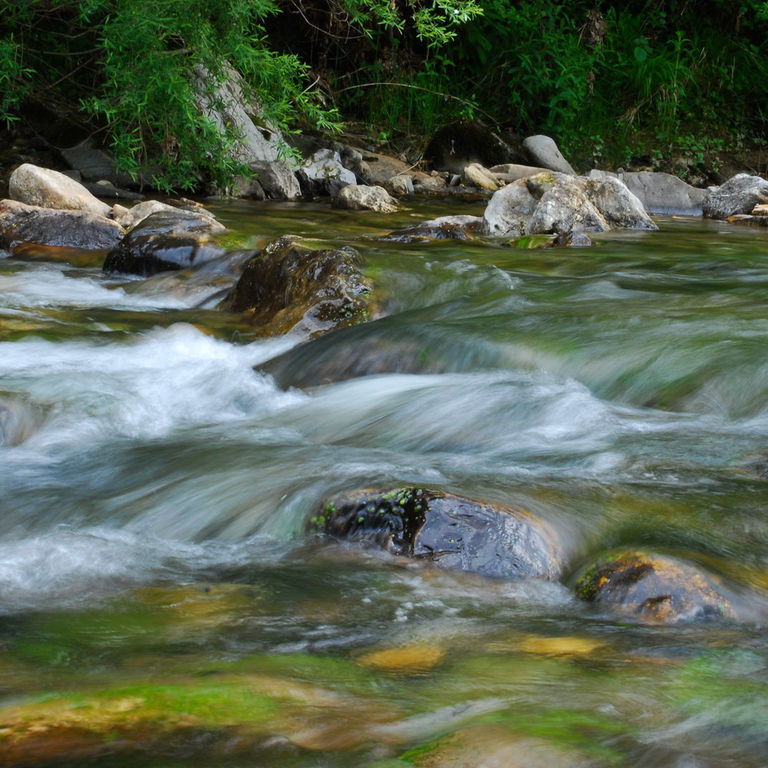 Torrente Farma