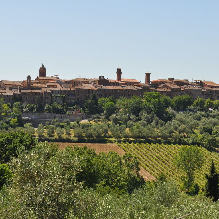 Torrita di Siena