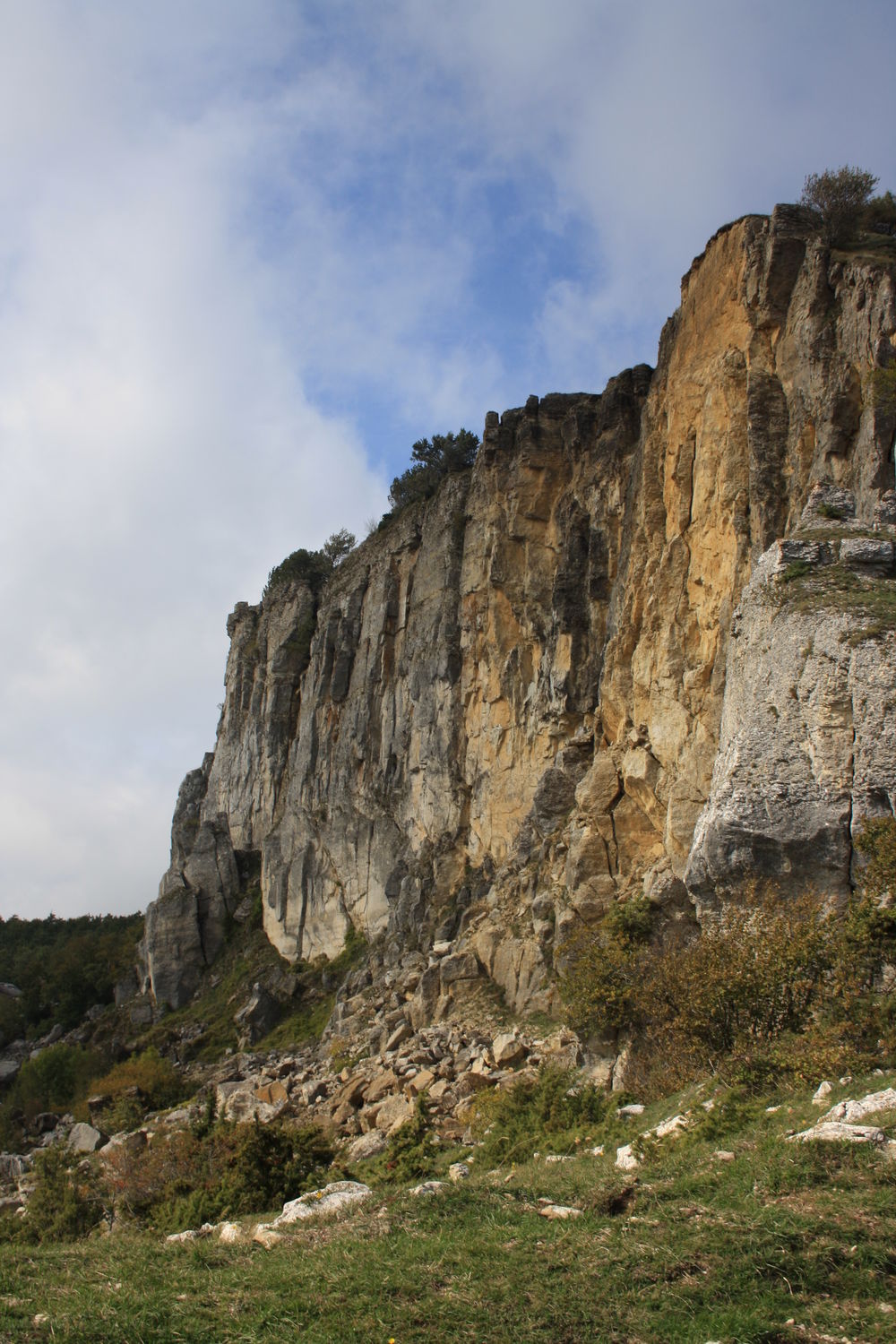 PDF) Going up the mountain! Exploitation of the Trentino highlands as  summer farms during the Bronze Age: the Dosso Rotondo site at Storo  (northern Italy)