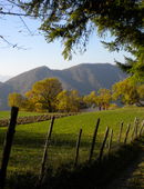 La strada di casa Palazzuolo sul Senio