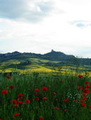 Val d'orcia