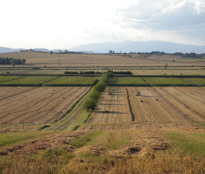 Castiglion Fiorentino