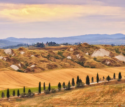 Crete senesi