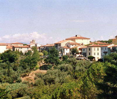 Fauglia