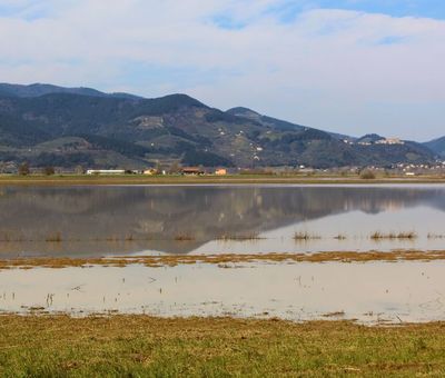 Il lago di Bientina