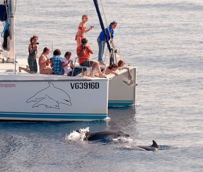 Itinerario organizzato da CE.TU.S per conoscere i delfini, Viareggio