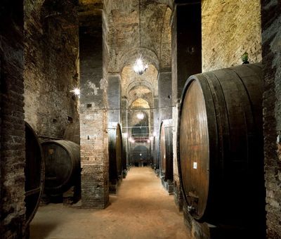 Montepulciano cantine