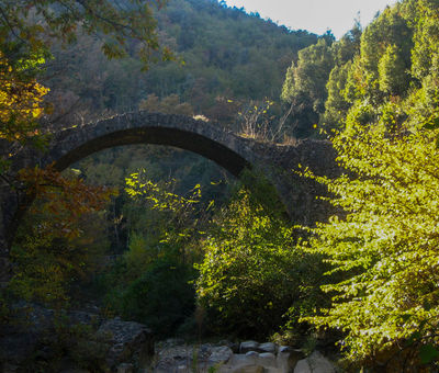 Ponte della Pia, Sovicille