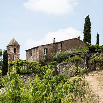 orto dei semplici isola d_Elba