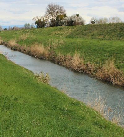 Campagna di Ponsacco